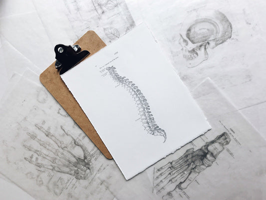 Can a chiropractor fix kyphosis? - Posturehealing
