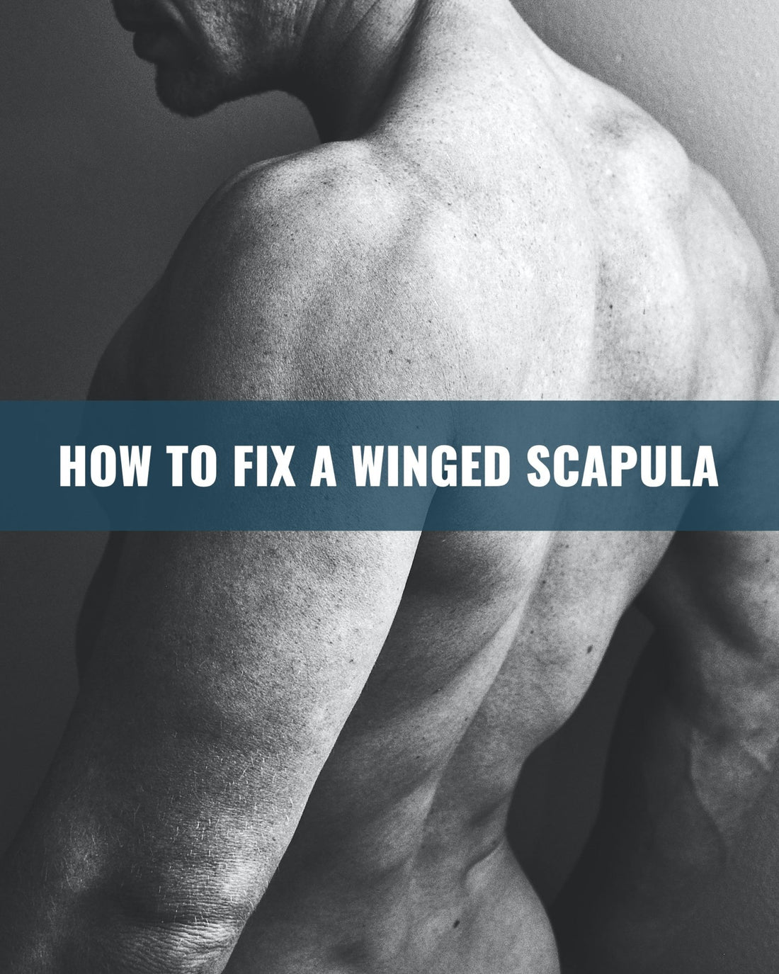 How to fix a winged scapula - Posturehealing